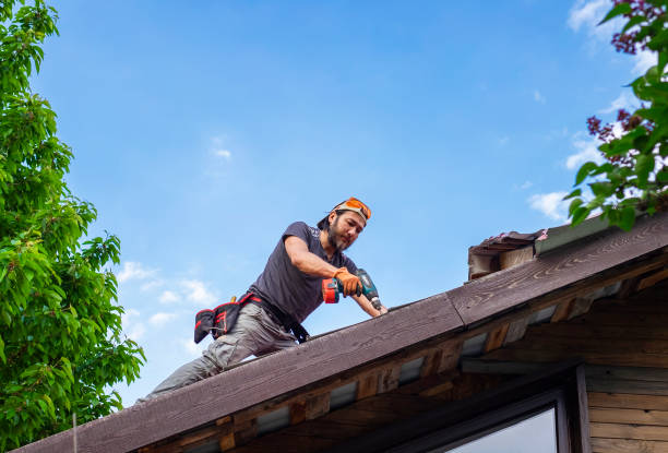 Professional Roofing services in Avoca, IA